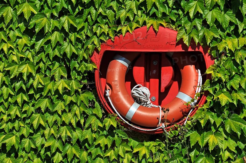 Lifebuoy