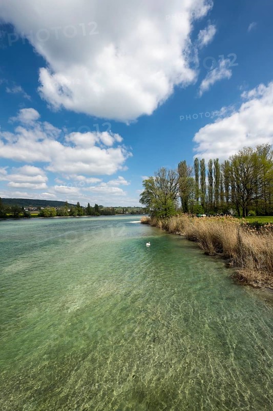 The Rhine near Eschenz