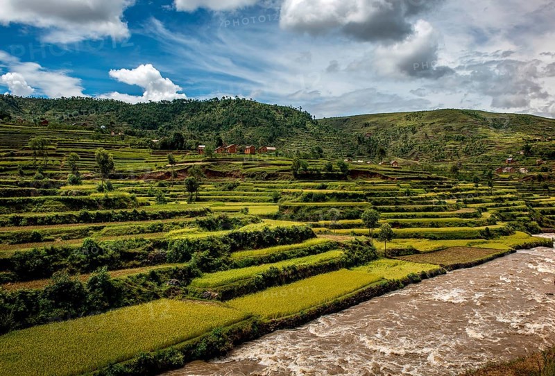 Rice fields near Ambositra
