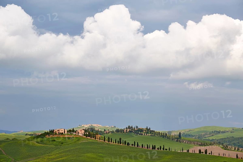 Hilly landscape of the Crete Senesi