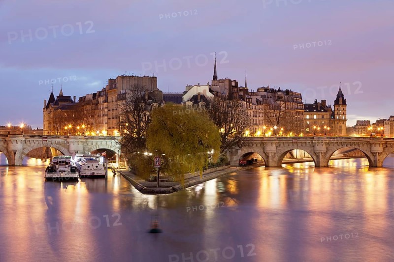 Bridge Pont Neuf and the Ile de la Cite