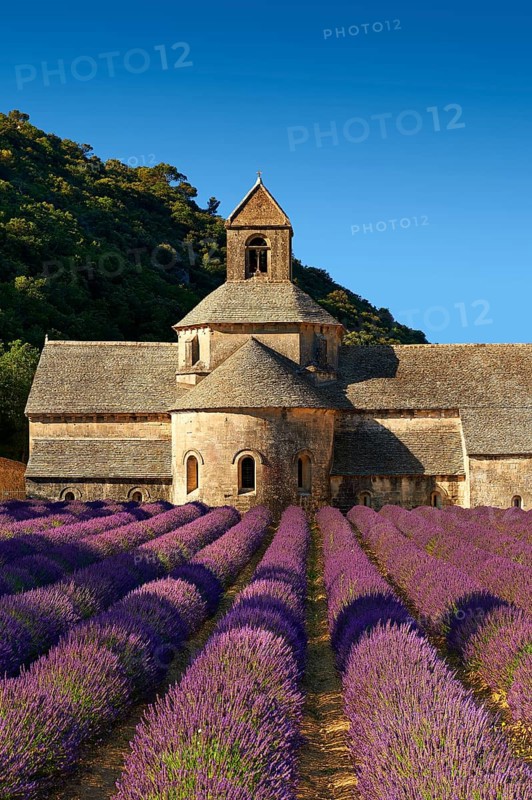 The Romanesque Cistercian Abbey of Notre Dame of Senanque