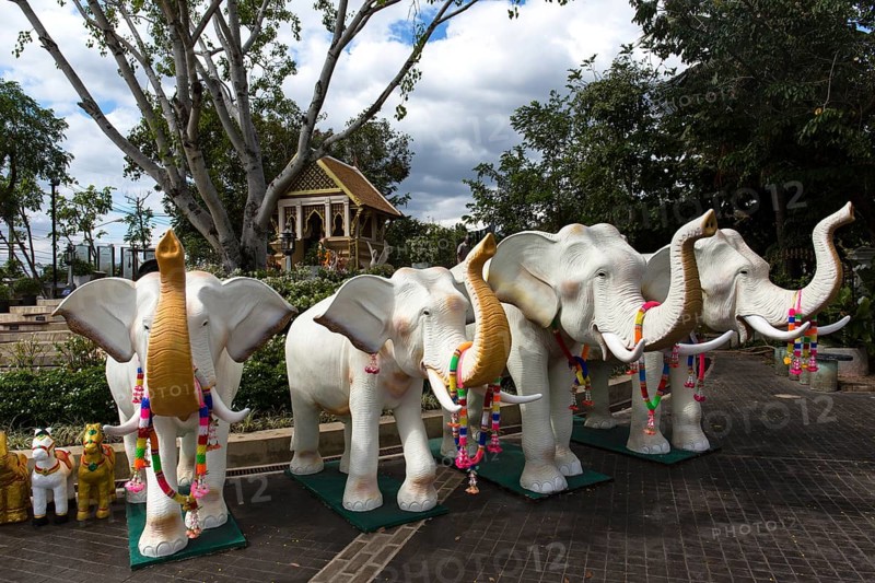 Elephant sculptures at the staircase to the Sarn Tay Pa Ruk