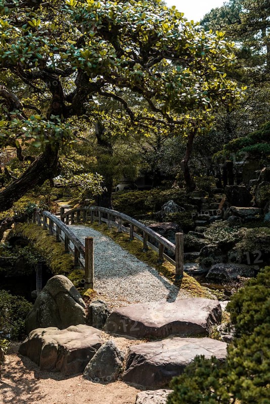 Garden Landscape