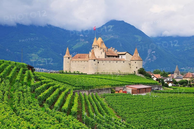 Chateau d' Aigle or Aigle Castle