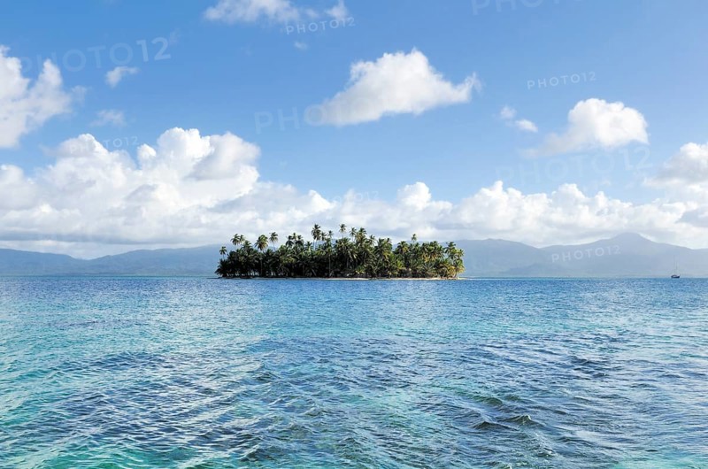 Tropical island with palm trees