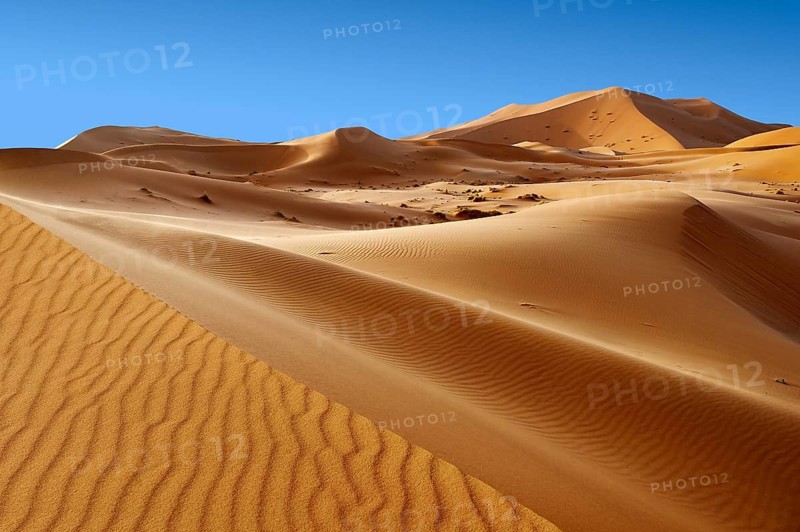 Sahara sand dunes of erg Chebbi