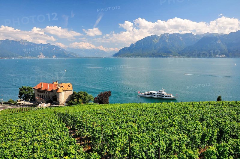 Views over the vineyards with Chateau de Glerolles and Lake Geneva towards the Swiss Rhone Valley