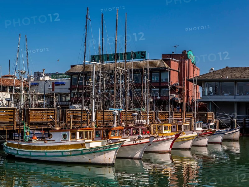 Fishing boats