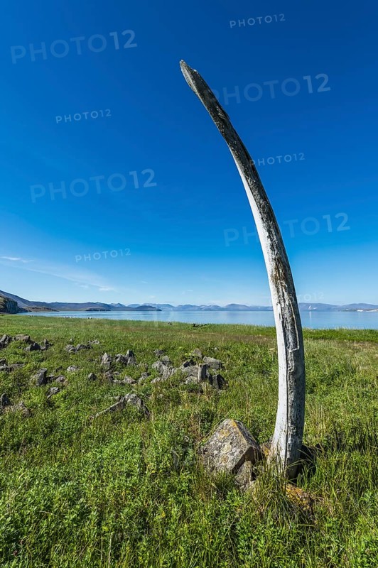 Whale Bone Alley