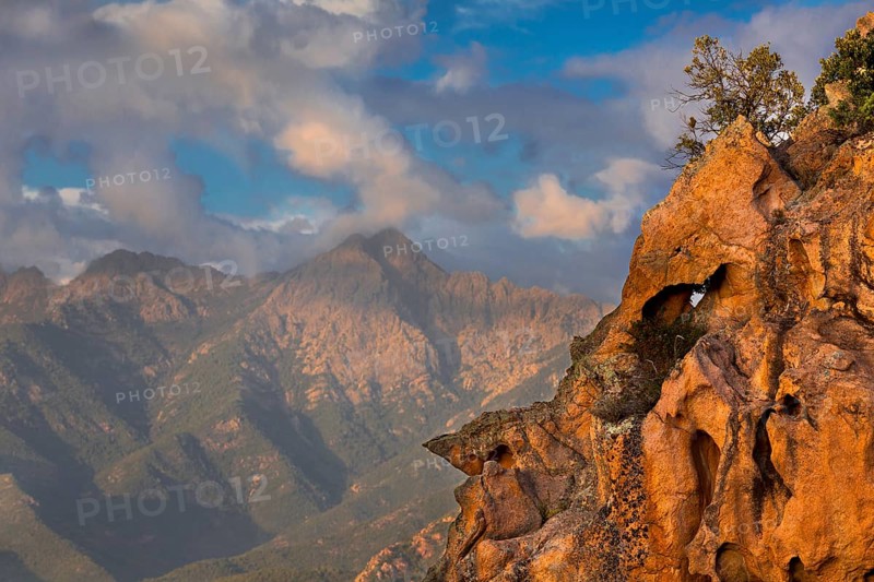 Bizarre rock erosions in the evening light