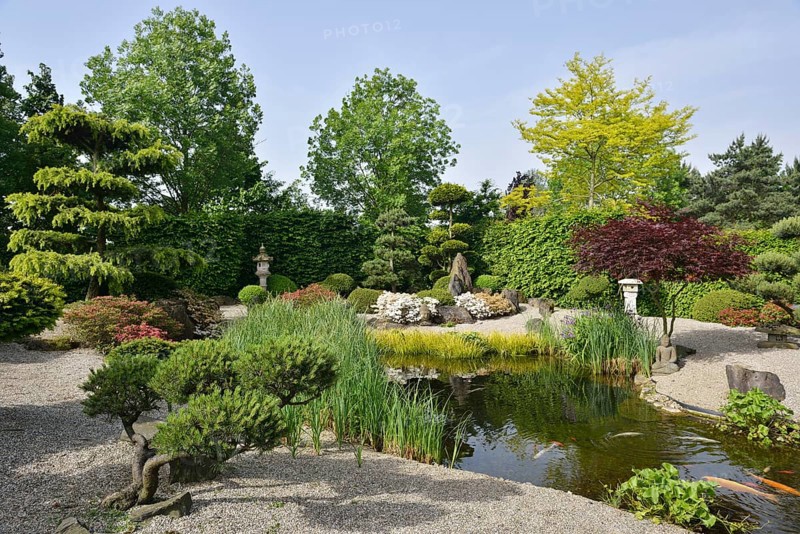 Chinese garden
