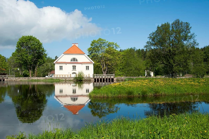 Manor