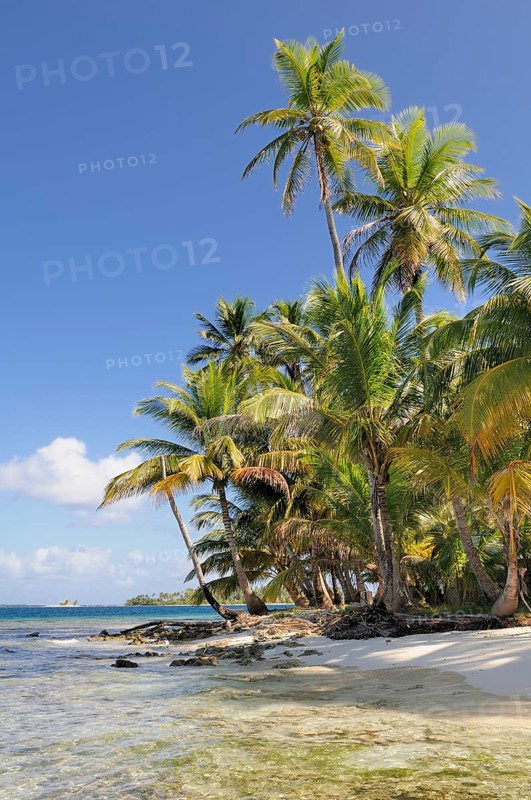 Tropical island