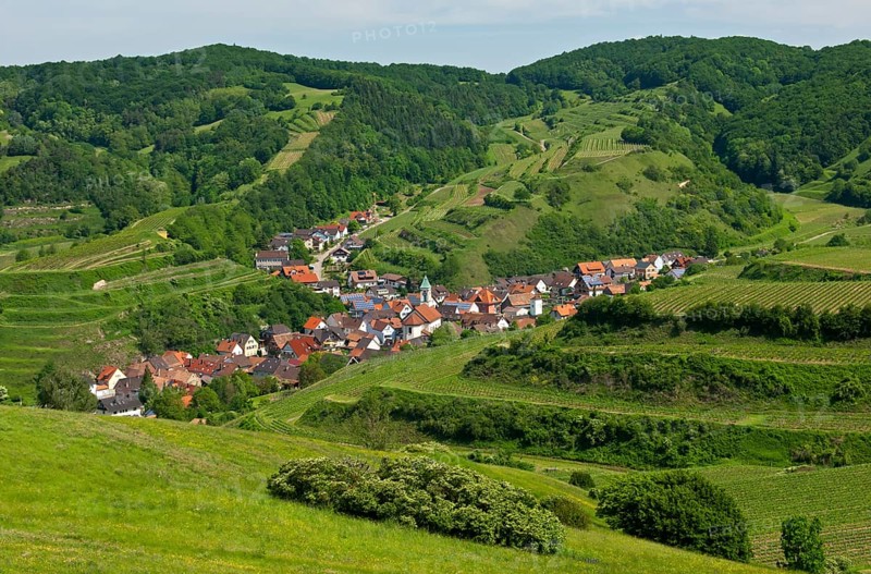 View from Mt Badberg of the village of Schelingen