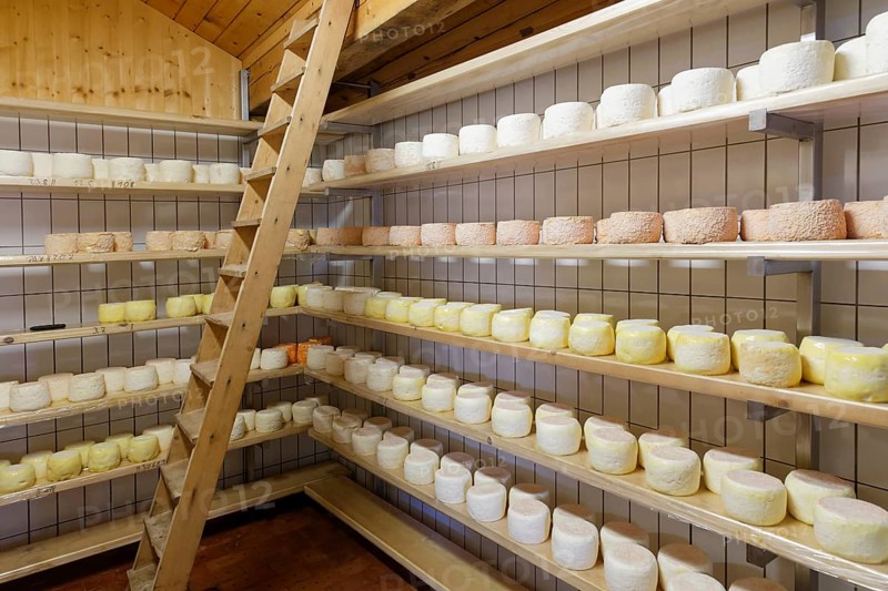 Montafoner Sauerkase cheese or Sura Kees cheese ripening in a depot