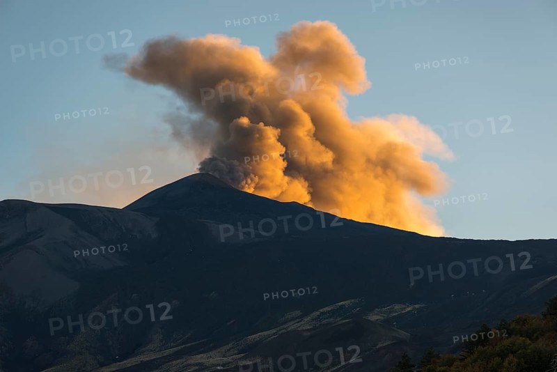 Eruption cloud in the evening light above the new northeast crater