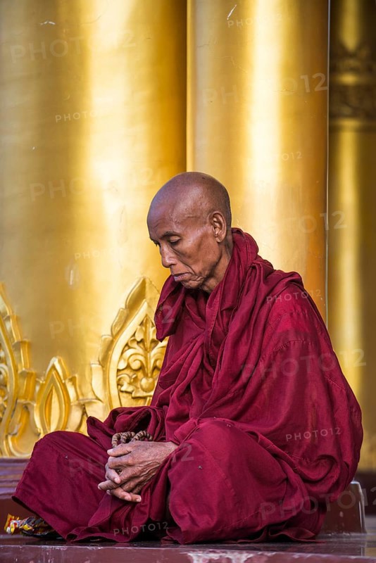Buddhist monk in prayer