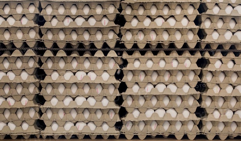 Eggs stacked in cardboard boxes