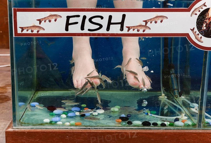 Garra Rufa fish therapy
