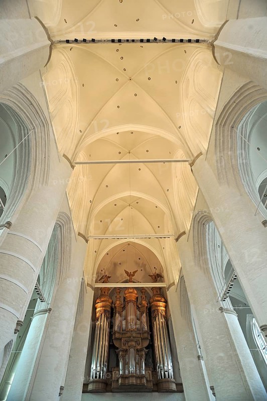 Vaulted ceiling with Flentrop organ