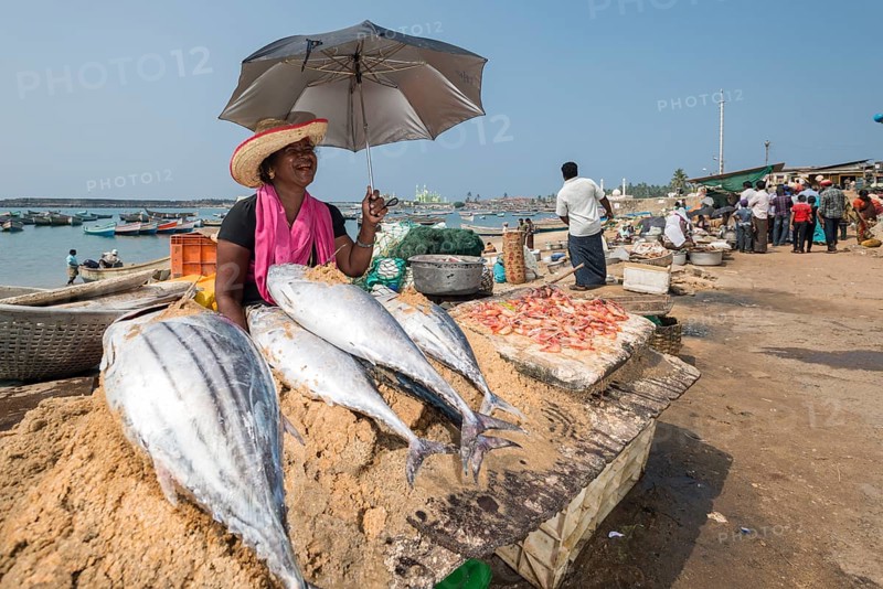 Woman selling fish