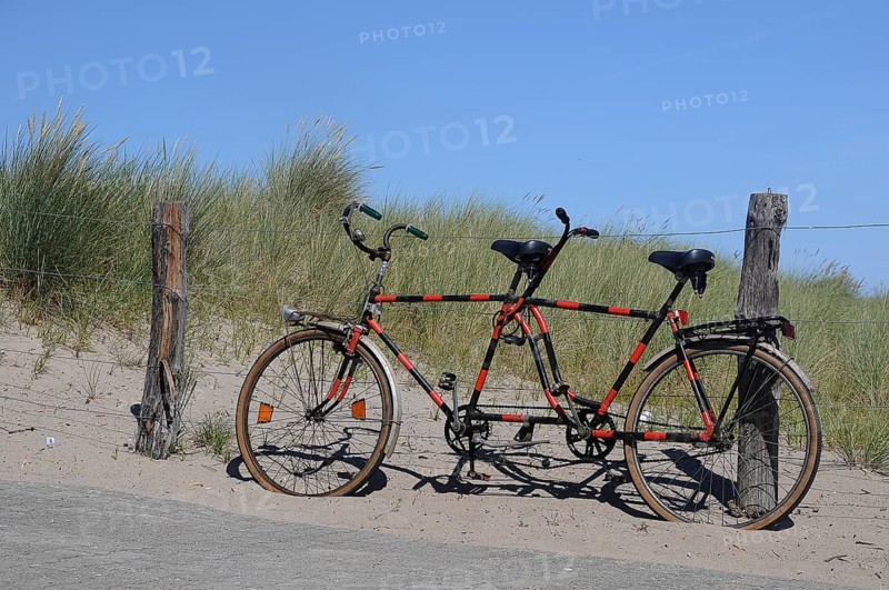 Tandem leaning against a fence in the dunes