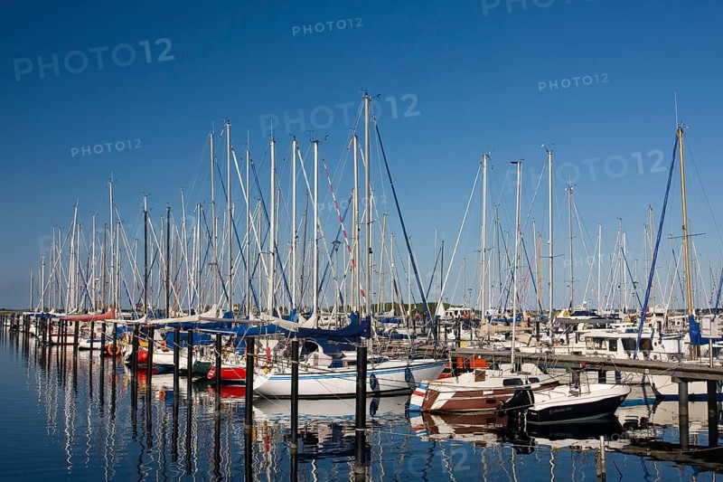 Sailboats in the marina