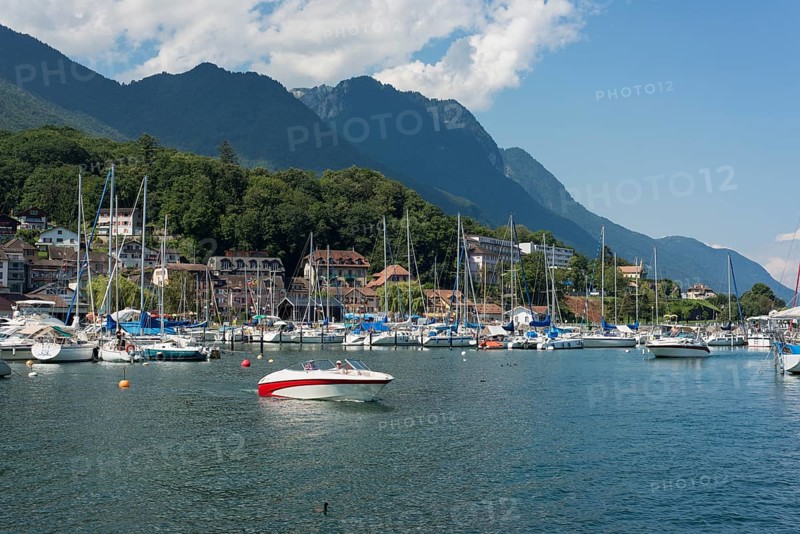 Boats in the marina