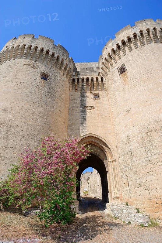 Gate of Fort Saint-Andre