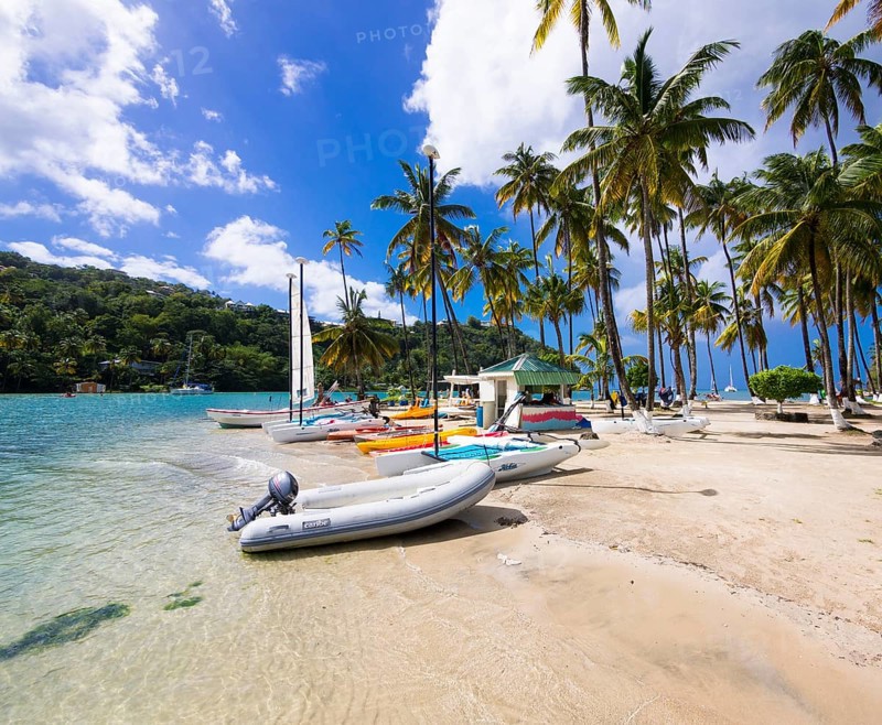 Palms on the sandy beach in Marigot Bay