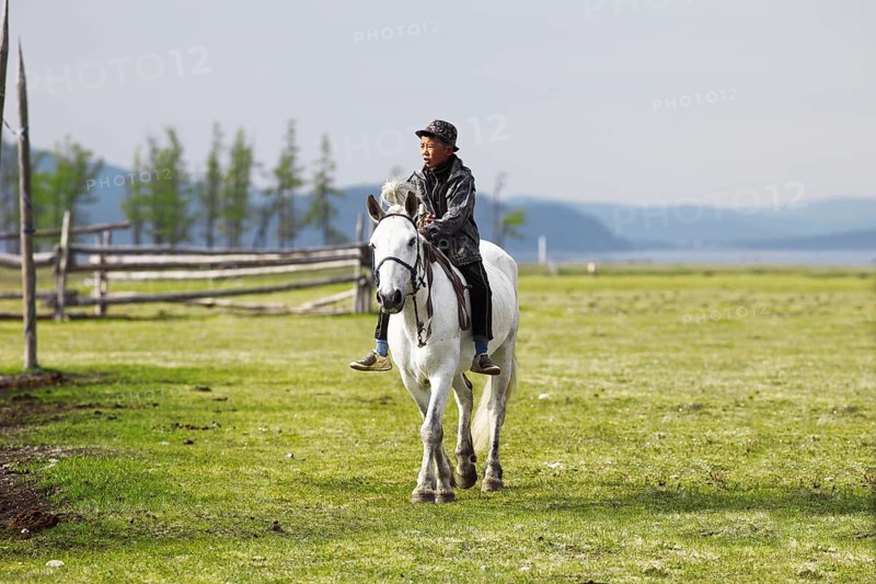Boy riding a Mongolian horse