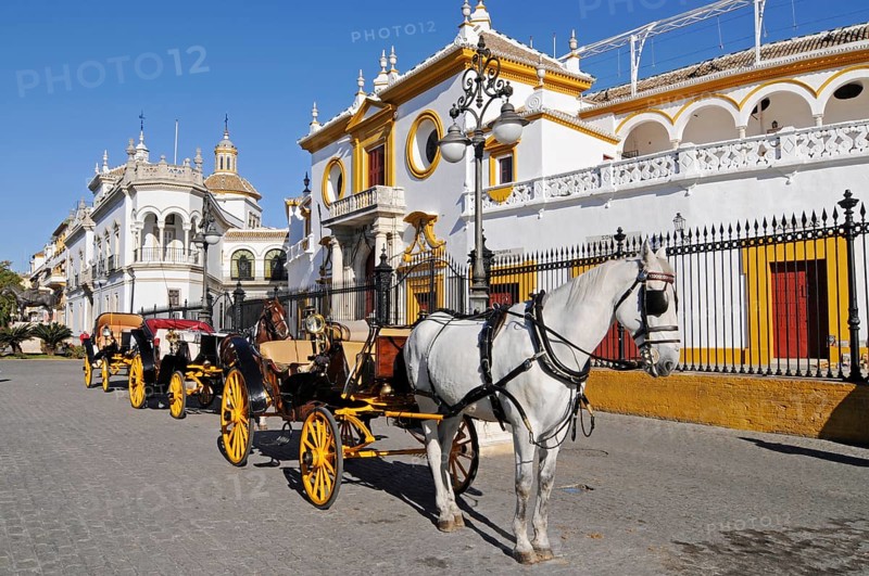 Horse-drawn carriages