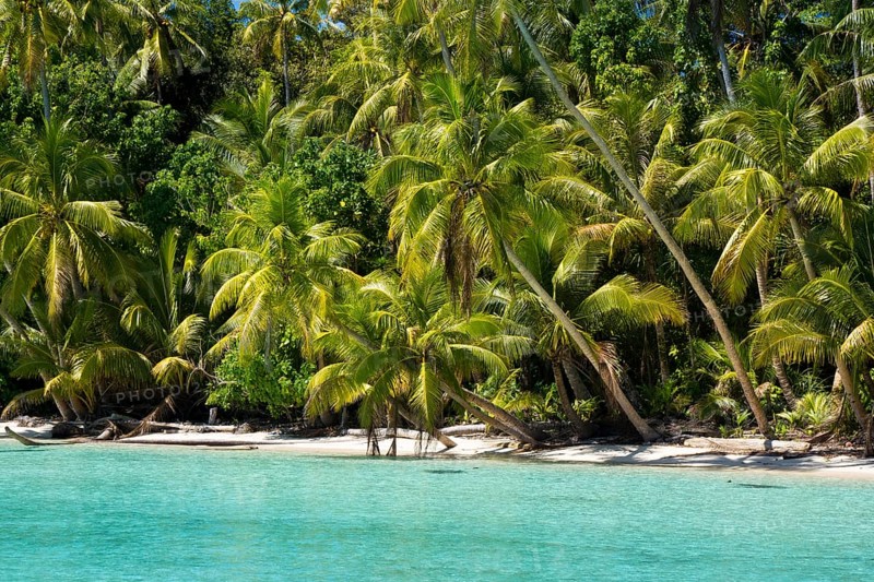 Lagoon with a sandy beach and palm trees