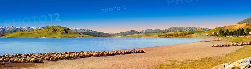 Shepherds and sheep on the shore of Lake Van