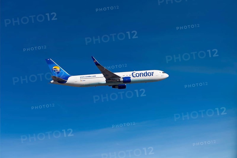 Condor