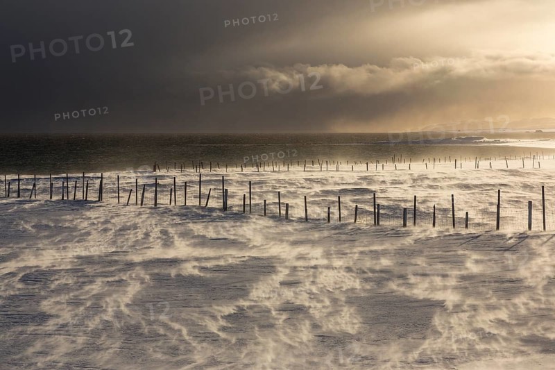 Snow drifts in the fjord