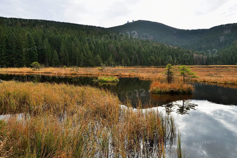 Autumn in the Naturschutzgebiet Kleiner Arbersee nature reserve