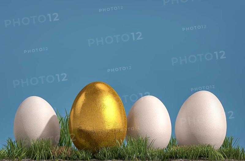 Three white and one golden egg