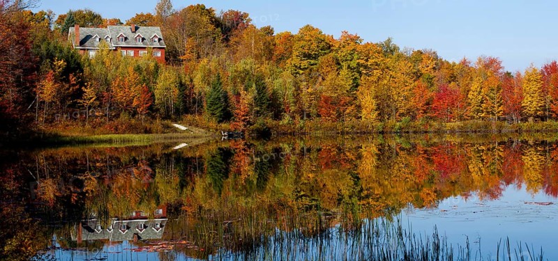 House on beaver pond amongst the trees in autumn