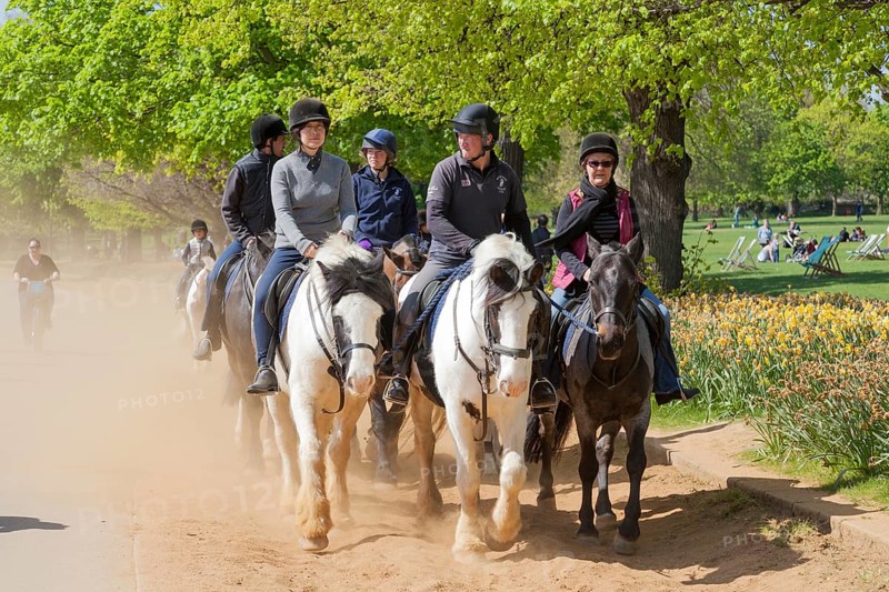 Group of horse riders