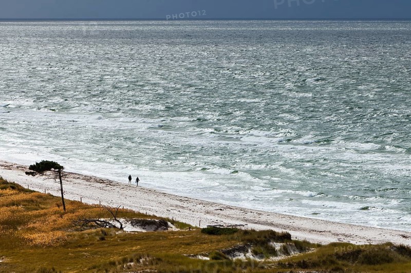 View on the western beach of Darsser Ort