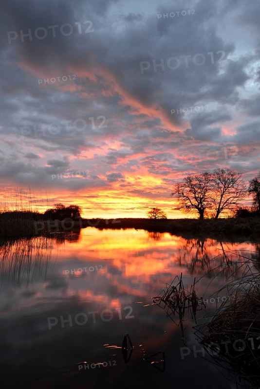 Sunrise over the Leiner See lake in the Middle Elbe Biosphere Reserve