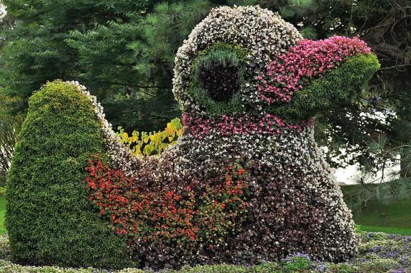 Duck figure from different flowers