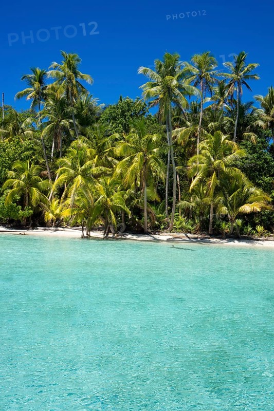 Lagoon with a sandy beach and palm trees