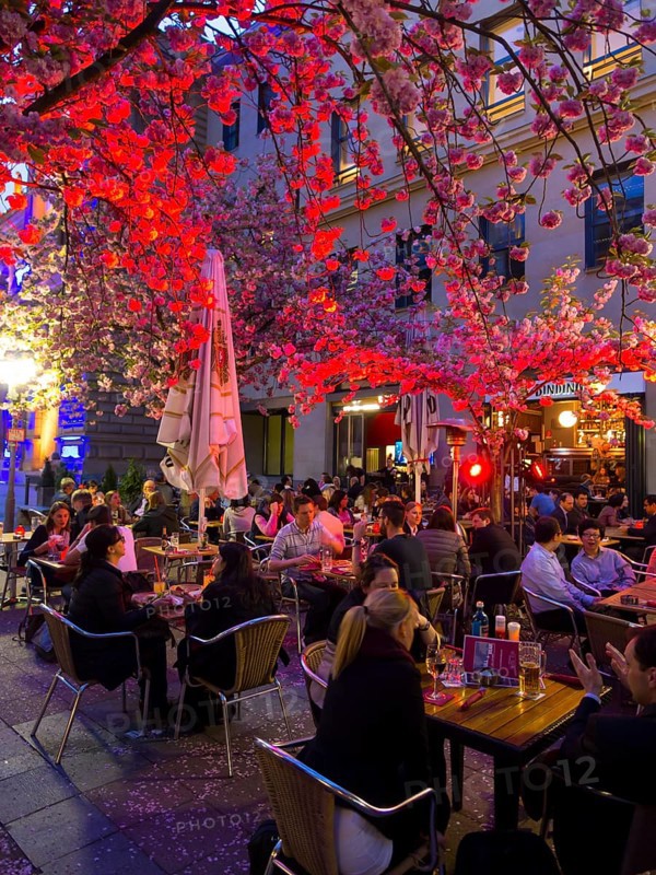 Restaurant 'Bulle and Bar'