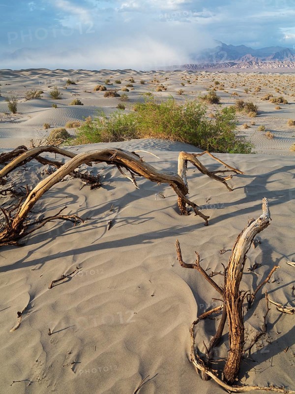 Mesquite Flat Sand Dunes