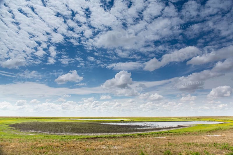 Vast landscape