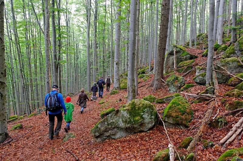 Hikers
