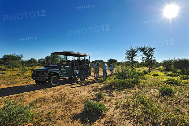 Safari carriage with tourists in blooming savannah